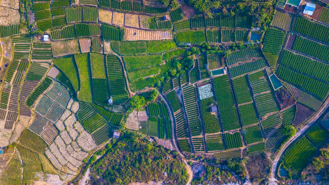 北方多地出现“飞行的硫酸” 专家提醒切勿用手拍打